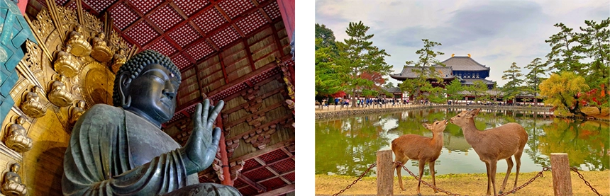 奈良県を代表する名所