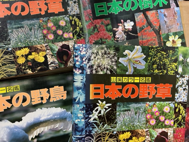 植物図鑑