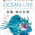 OCEAN LIFE図鑑 海の生物