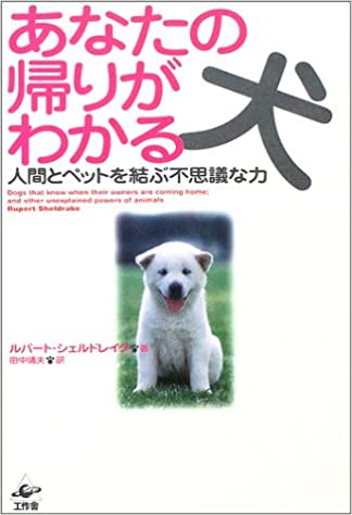 あなたの帰りがわかる犬ー人間とペットを結ぶ不思議な力