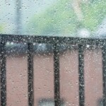 梅雨前に差をつける査定額アップ術