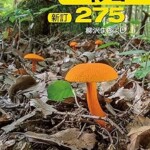 新訂 日本のキノコ275 (ポケット図鑑) の紹介ページ