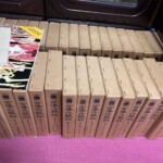 南伝大蔵経を京都市で買取