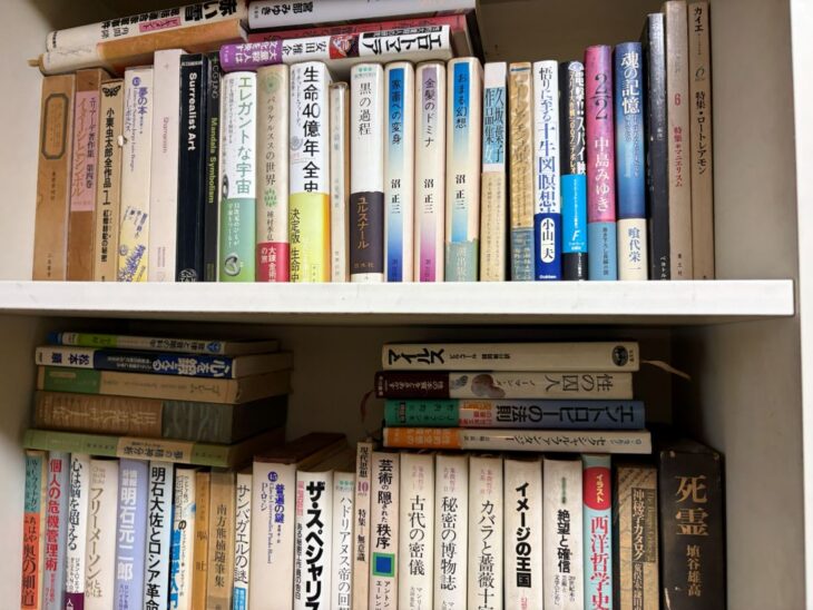 寝屋川市で買取した幻想文学と神秘学の本。小栗虫太郎全作品集・ユング『マンダラ・シンボリズム』・パラケルススの世界・ジョルジュ・バタイユの本などが書棚に並ぶ様子