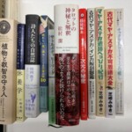 芝崎みゆきのマヤ・アステカ本や『タロットの神秘と解釈』、チャクラの本が立てて並ぶ