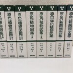 原色日本植物図鑑の草本編と木本編、帰化植物図鑑、新菌類図鑑の函が8冊並び、植物は緑、菌類は濃紺で背が分かれている