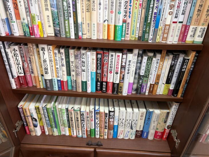 上段に妖怪や古代日本正史などの単行本、下段に日本神話の考古学や古事記の暗号などの新書が詰まった書棚