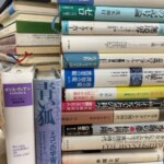 ケン・ウィルバー『無境界』『意識のスペクトル』やグリオール『青い狐 ドゴンの宇宙哲学』が積まれた本の山