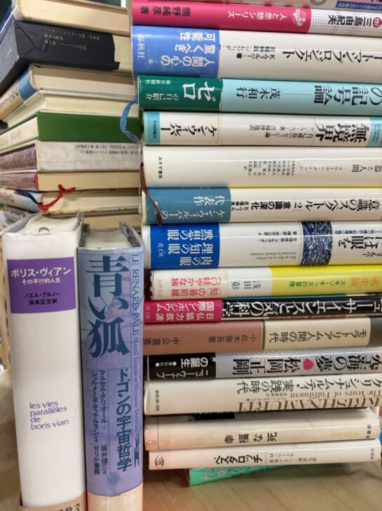 ケン・ウィルバー『無境界』『意識のスペクトル』やグリオール『青い狐 ドゴンの宇宙哲学』が積まれた本の山