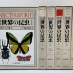図説 世界の昆虫の第1巻の函に蝶とカブトムシが刷られ、右に東南アジア編から アフリカ編までの6巻が並んでいる
