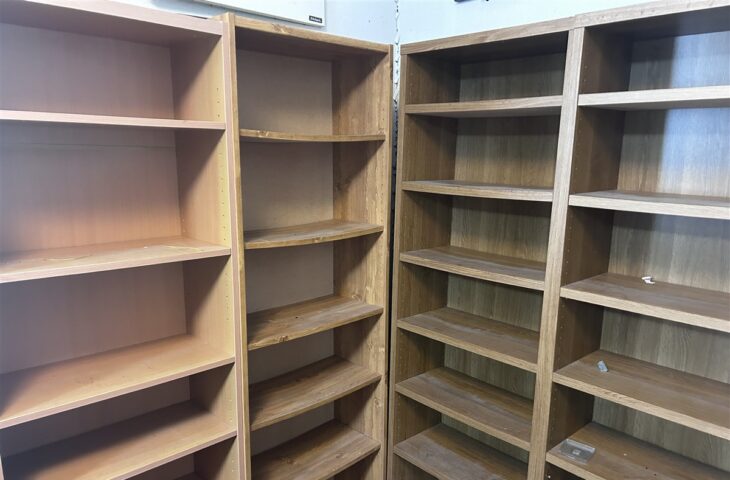本がなくなったあとの、木目の書棚4本