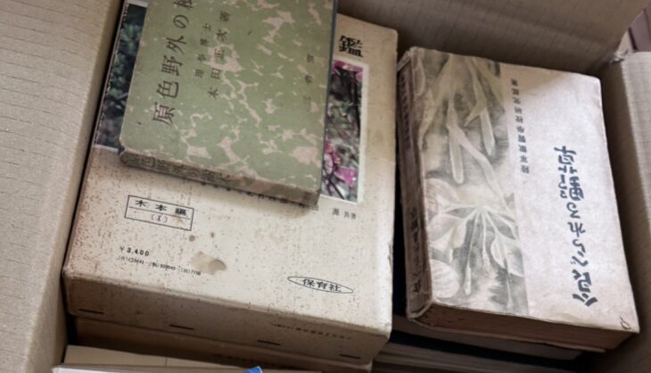 保育社『原色日本植物図鑑』木本編の函に重ねた本田正次『原色野外の樹木』と、隣の陸軍獣医学校研究部『食べられる野草』
