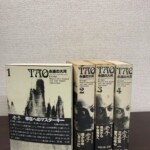 帯付きの『TAO 永遠の大河』4冊。岩山の写真の第1巻を手前に、ラジニーシの顔写真の背の第2巻から第4巻が並ぶ